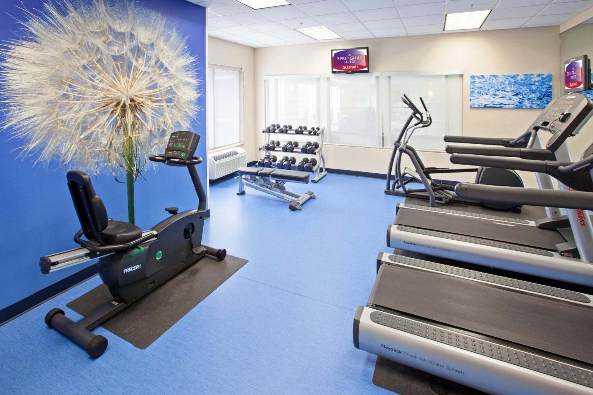 Springhill Suites Indianapolis Κάρμελ Εξωτερικό φωτογραφία